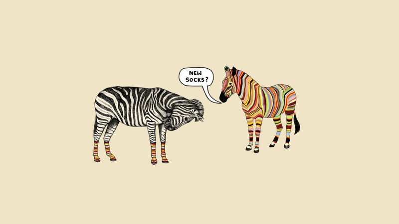 Zebras in Conversation
