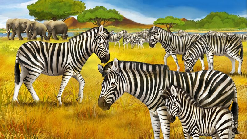 Zebras in Savanna — Yellow