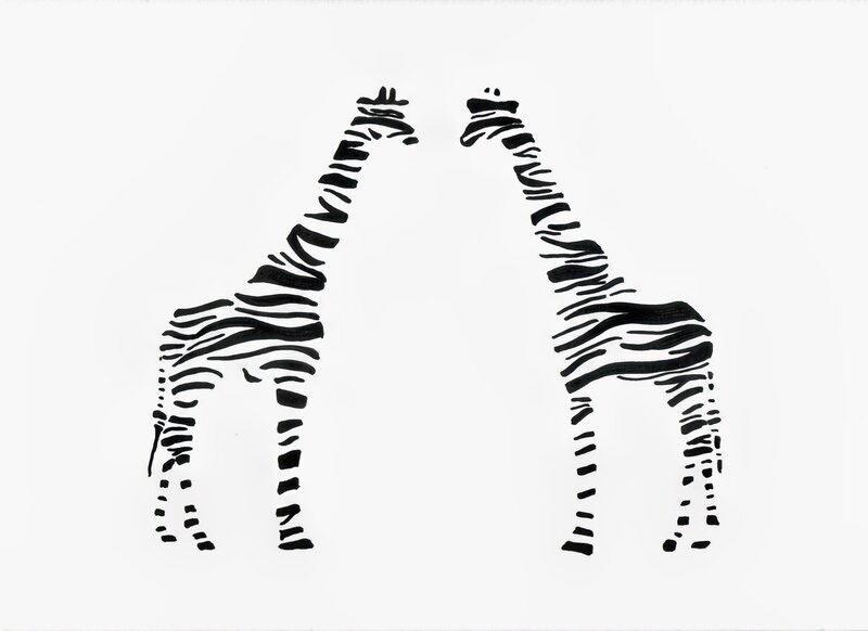 zebras in silhouette