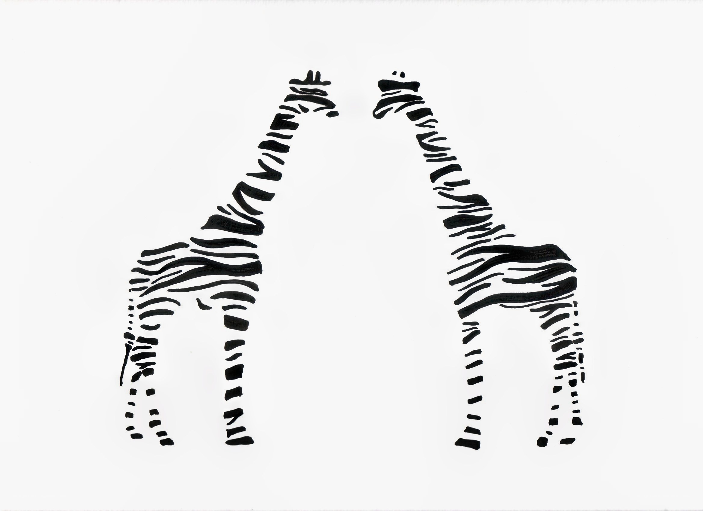 zebras in silhouette