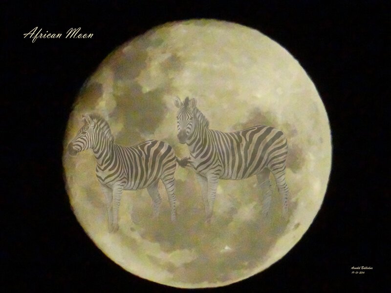 Zebras on Moon