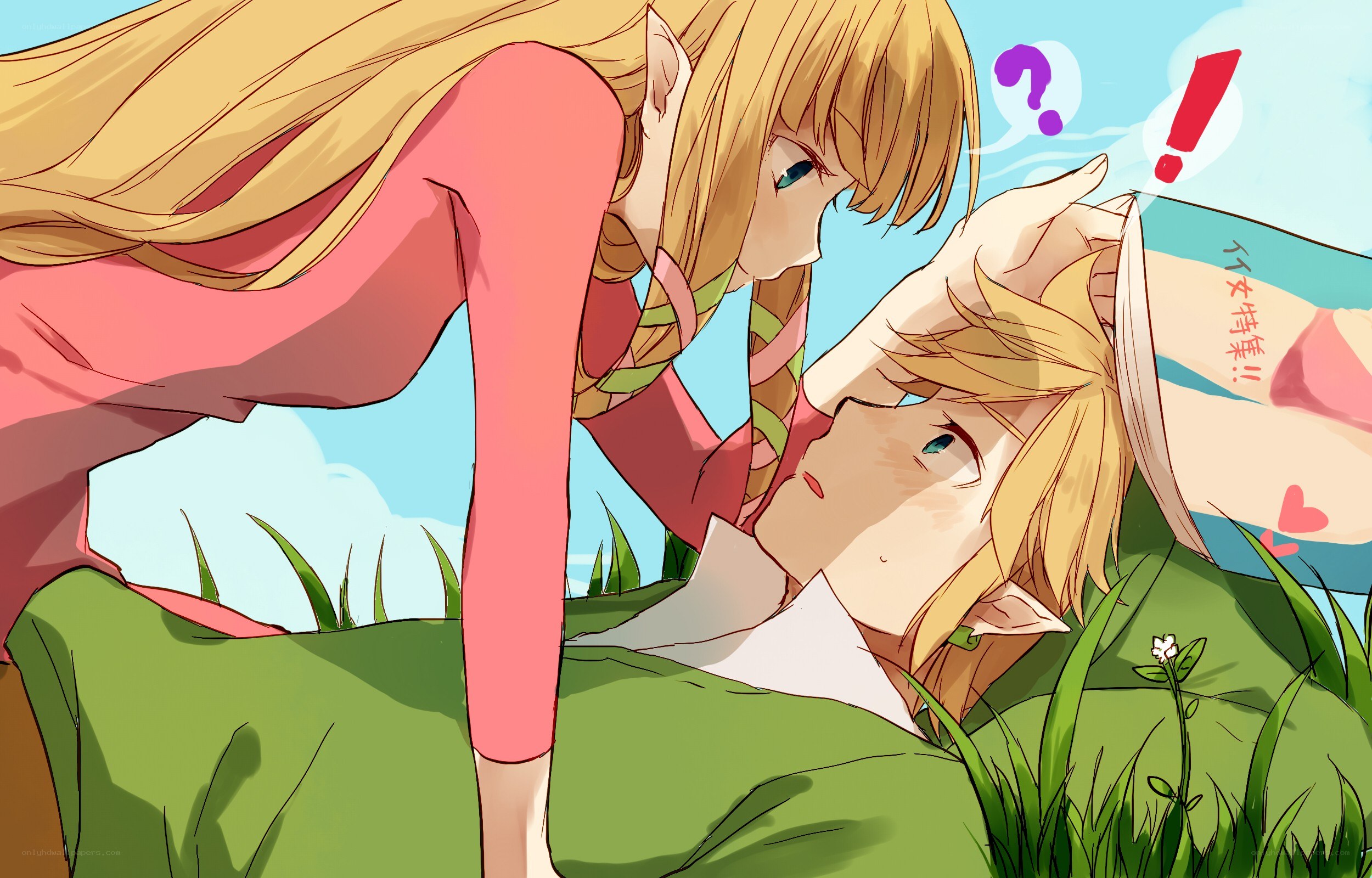 Zelda and Link in a field
