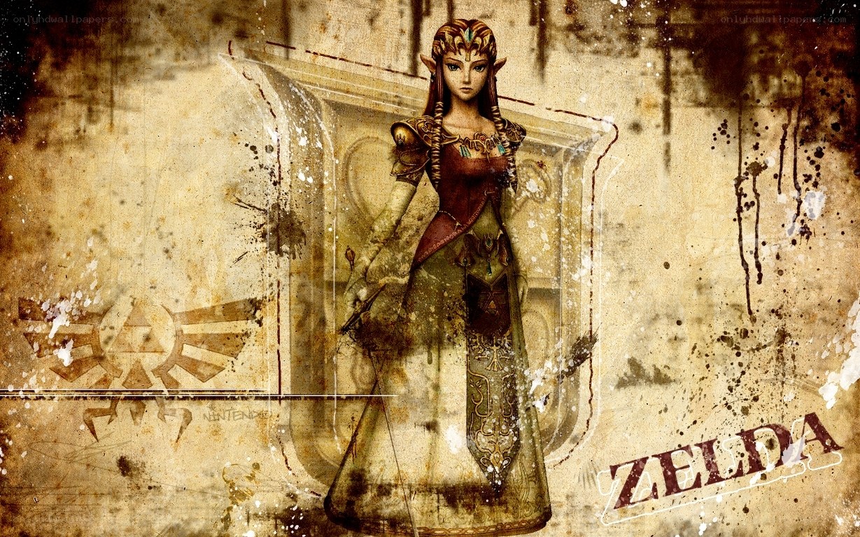 Zelda character art with grunge texture