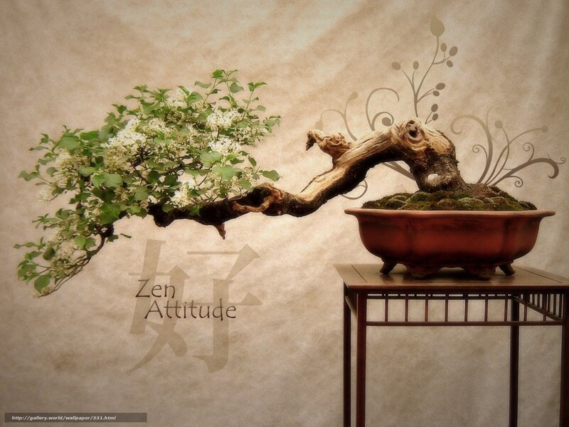Zen Attitude Bonsai