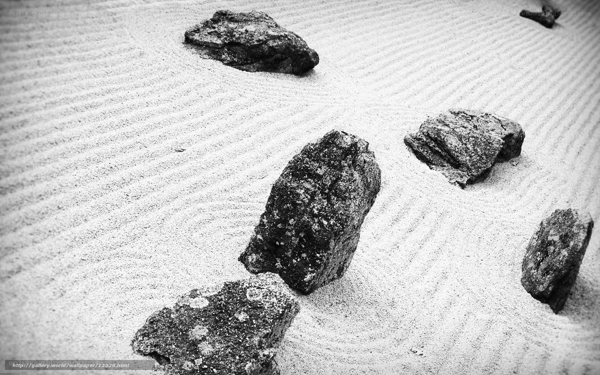 Zen garden with raked sand and rocks