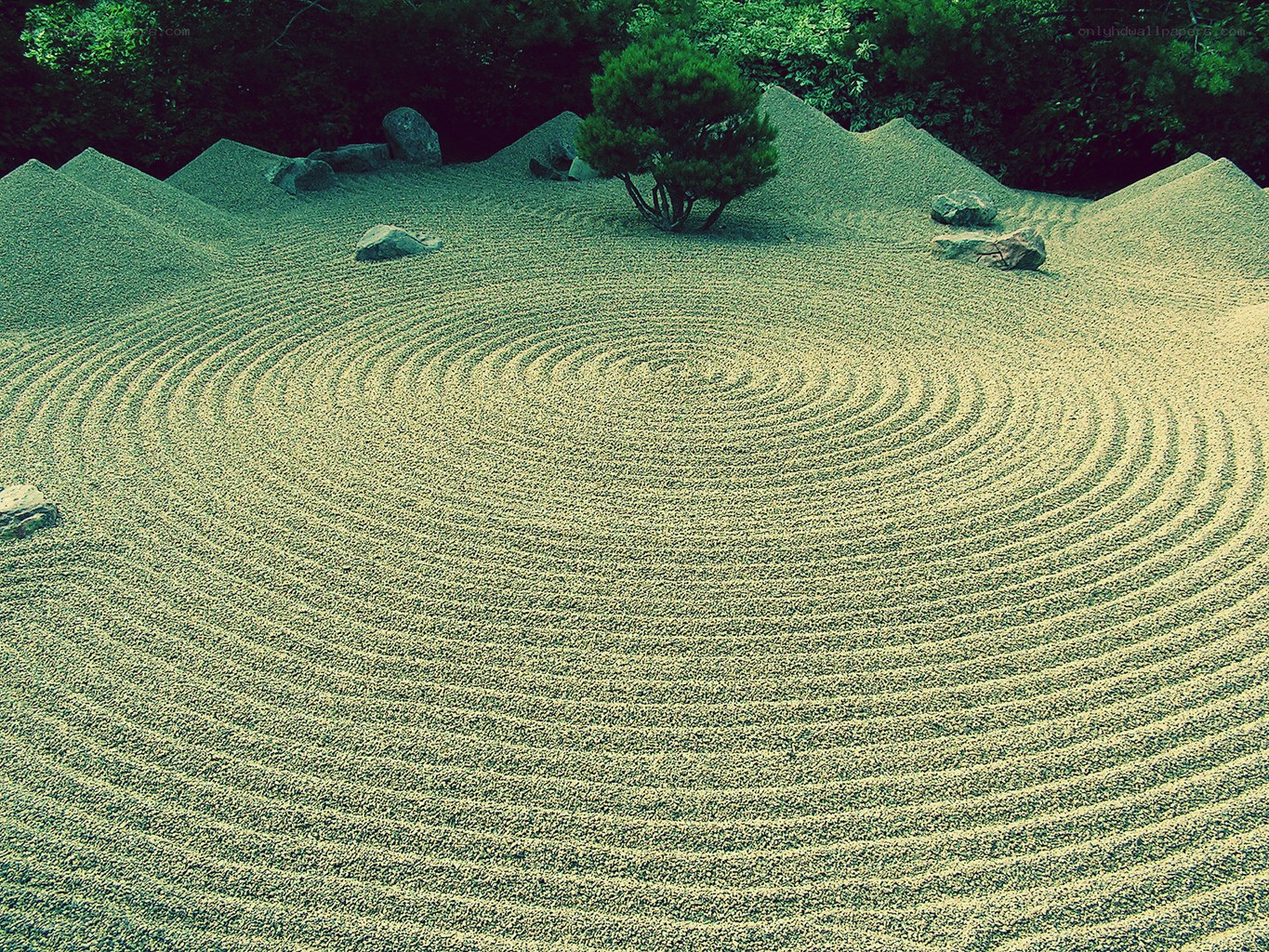 Zen garden with raked sand