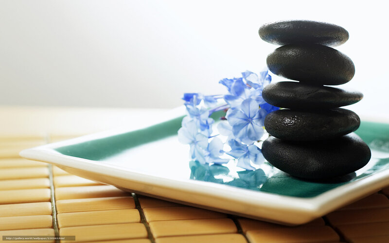 Zen stones and blue flowers