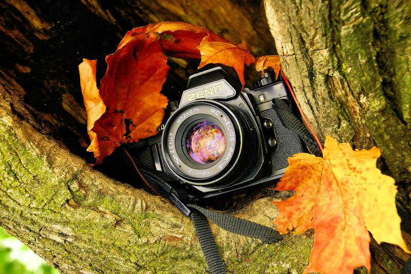 Zenit Camera in Tree — Orange