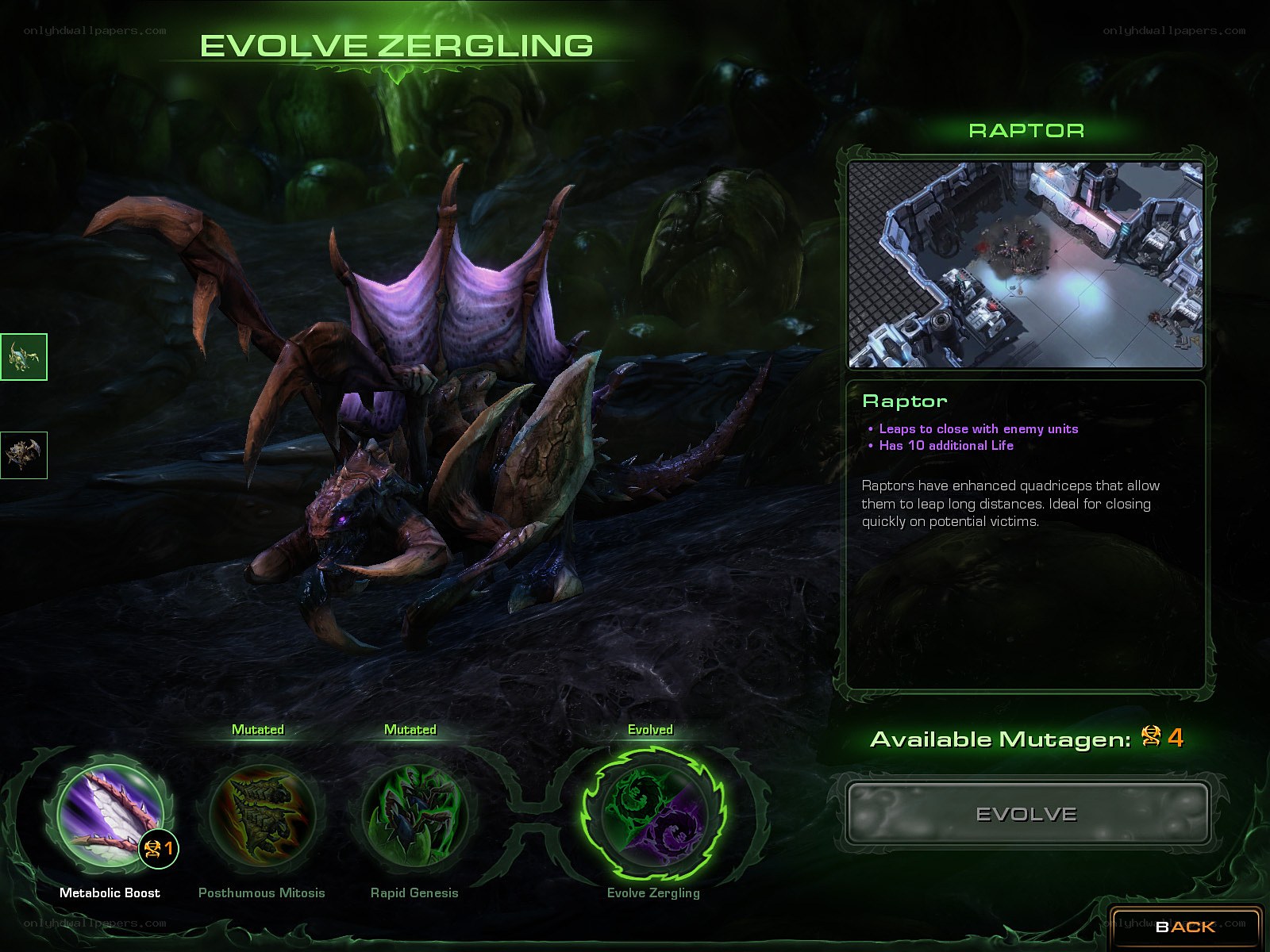 Zergling evolution screen