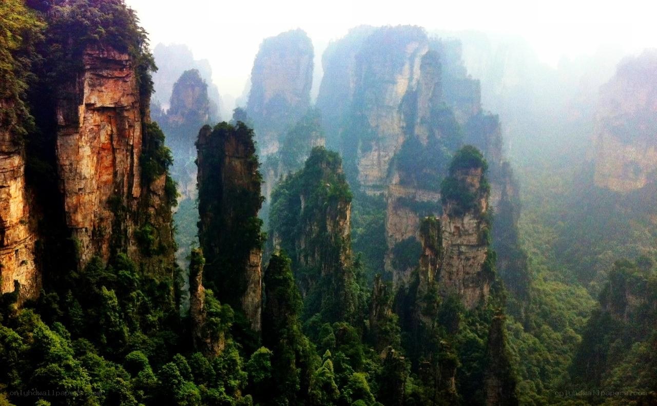 Zhangjiajie forest landscape