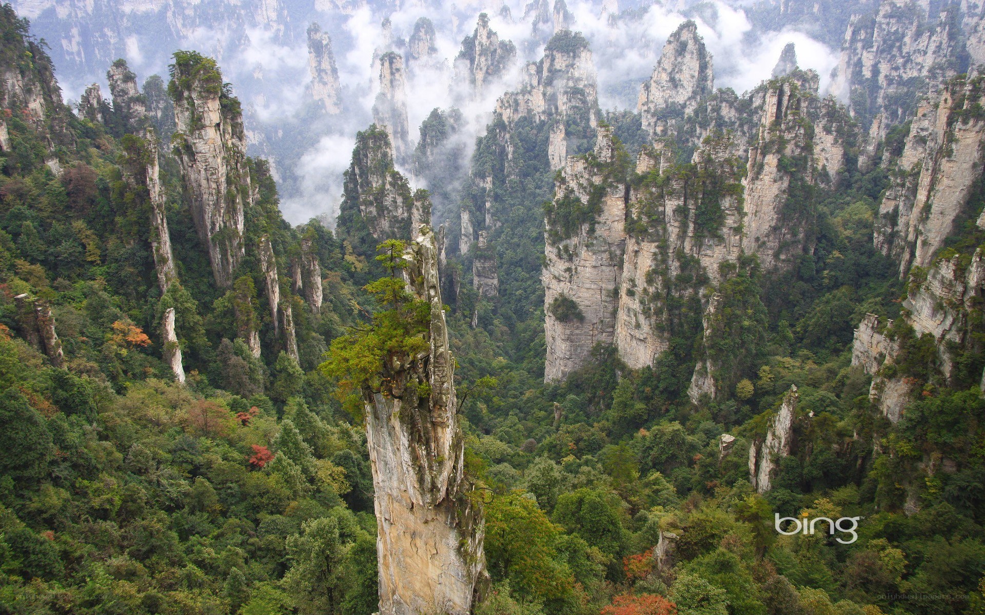 Zhangjiajie mountain peaks