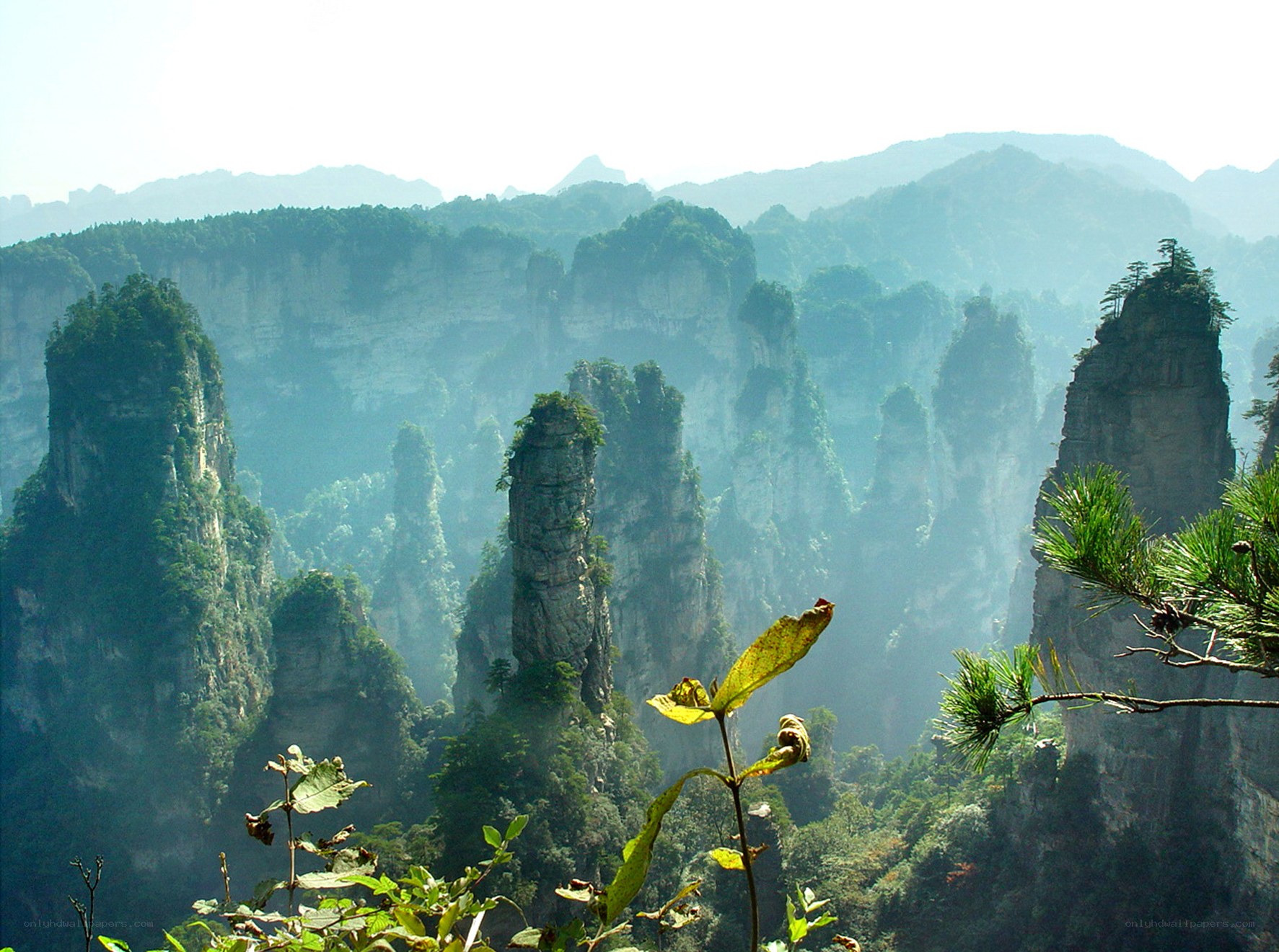 Zhangjiajie mountain pillars