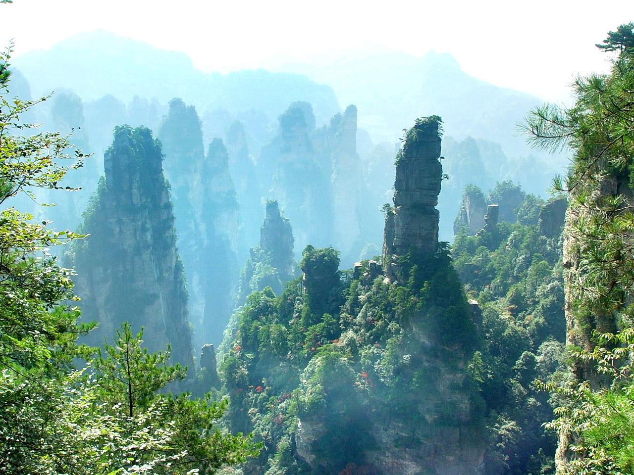 Zhangjiajie mountain pillars