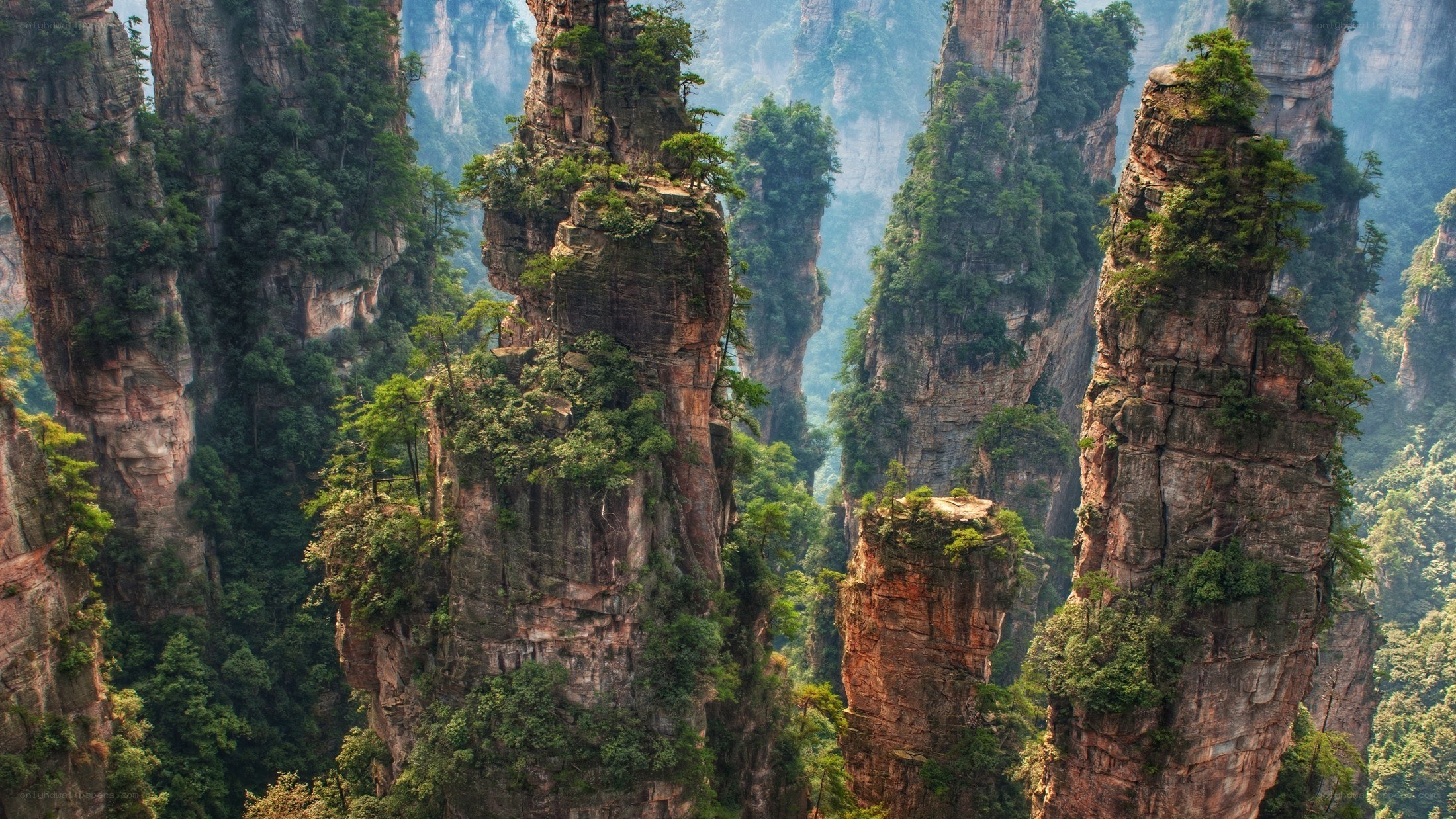Zhangjiajie rock formations