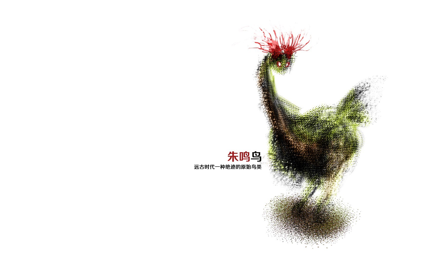 Zhu Ming Bird illustration