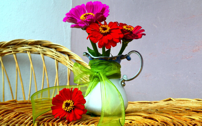 Zinnia Flowers in Pitcher — Red