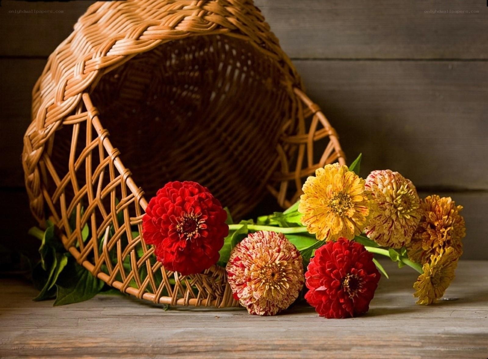 Zinnias in a wicker basket