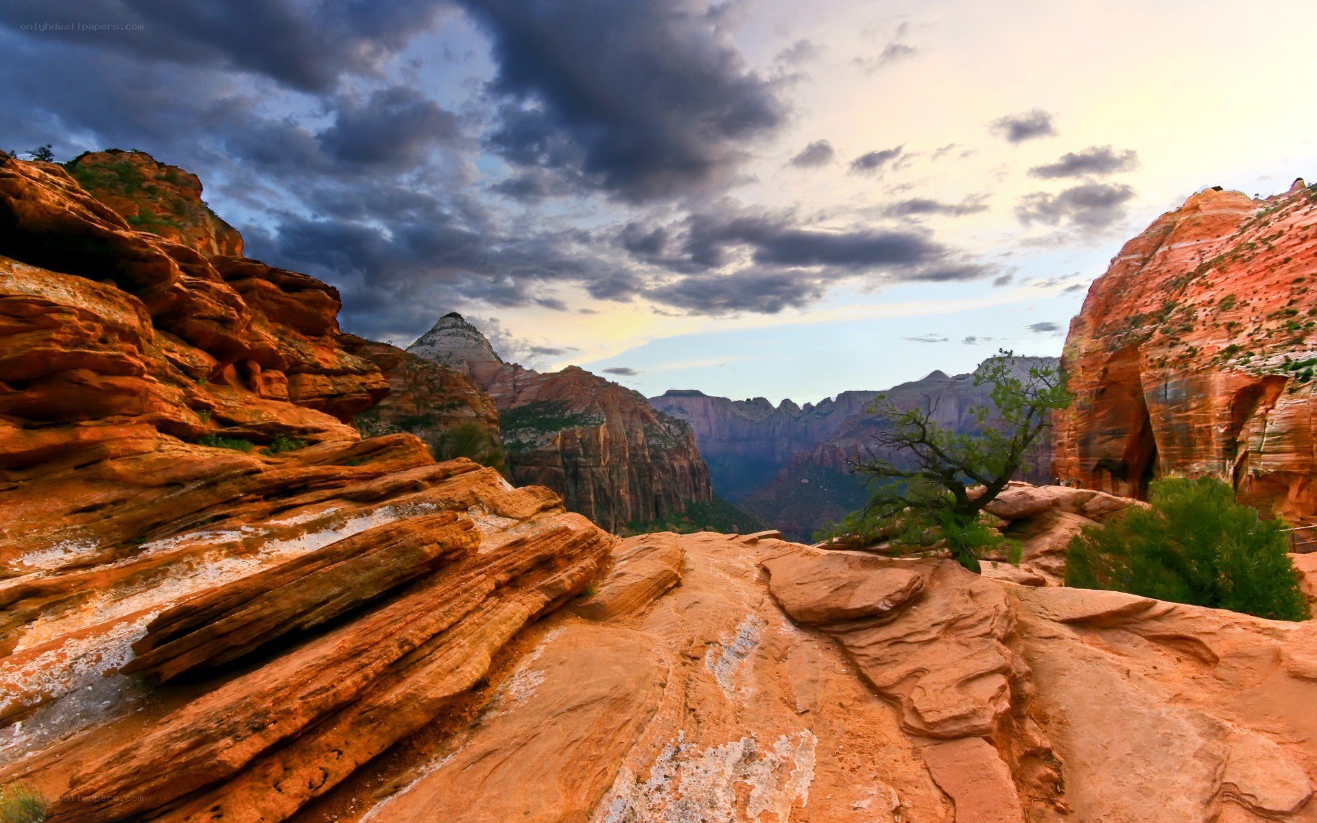 Zion Canyon at sunset