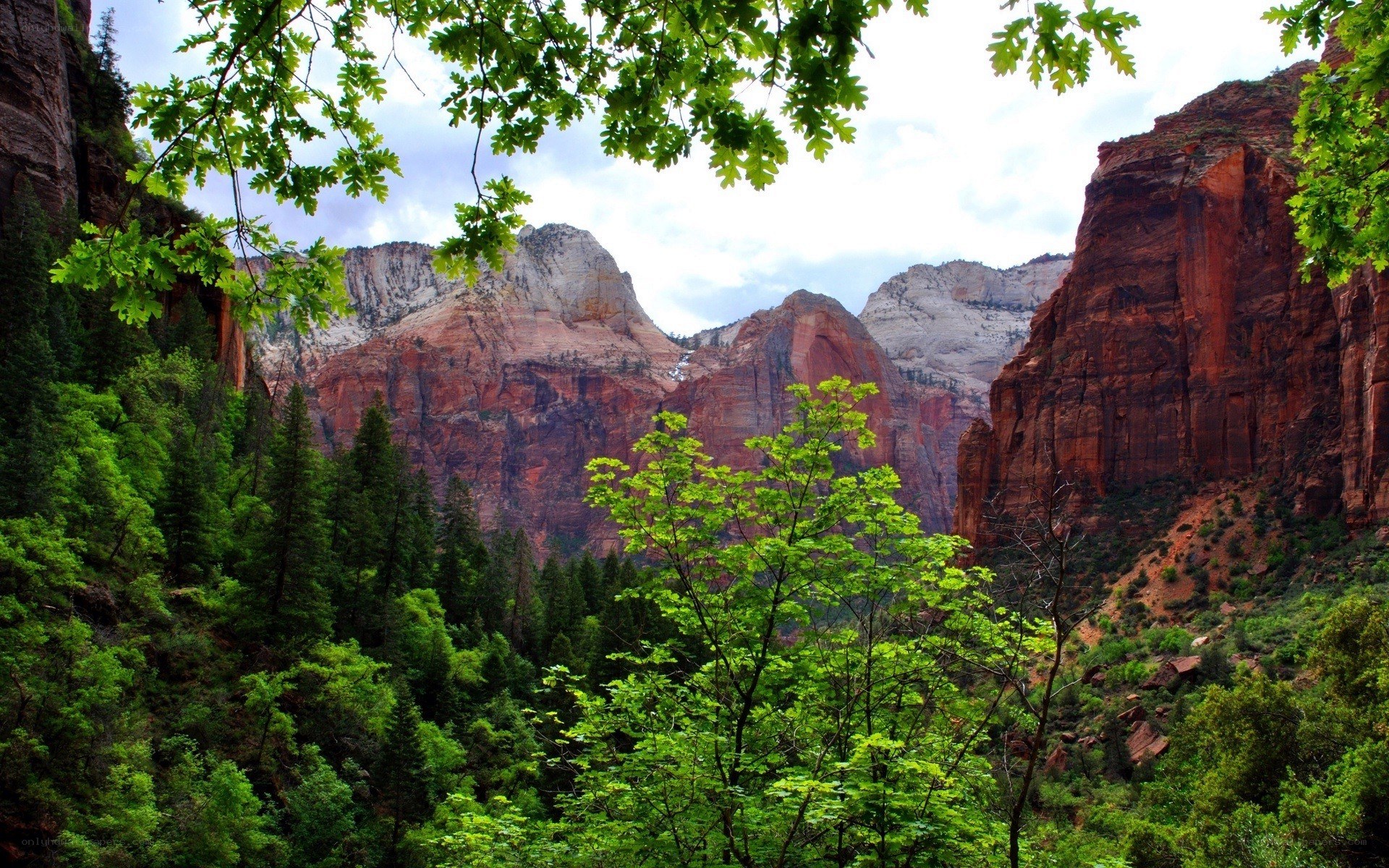 Zion Canyon landscape