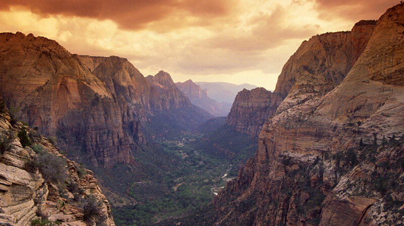 Zion Canyon Landscape — Brown