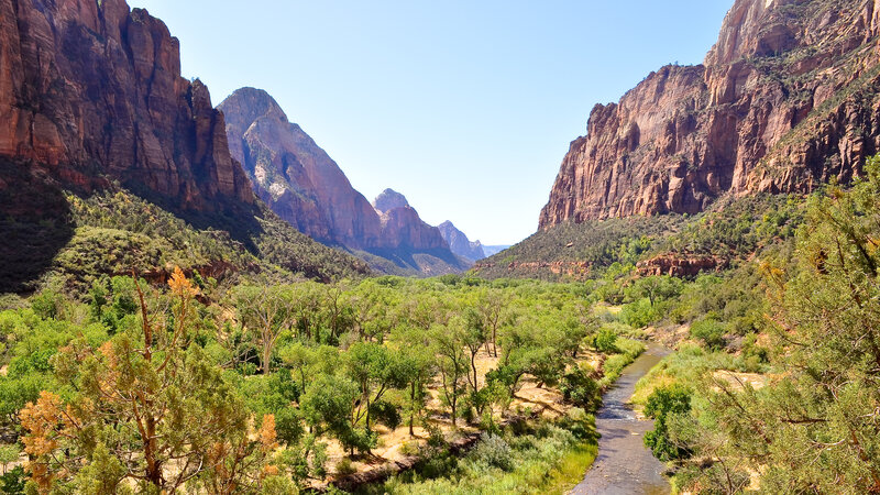 Zion Canyon Landscape — Green