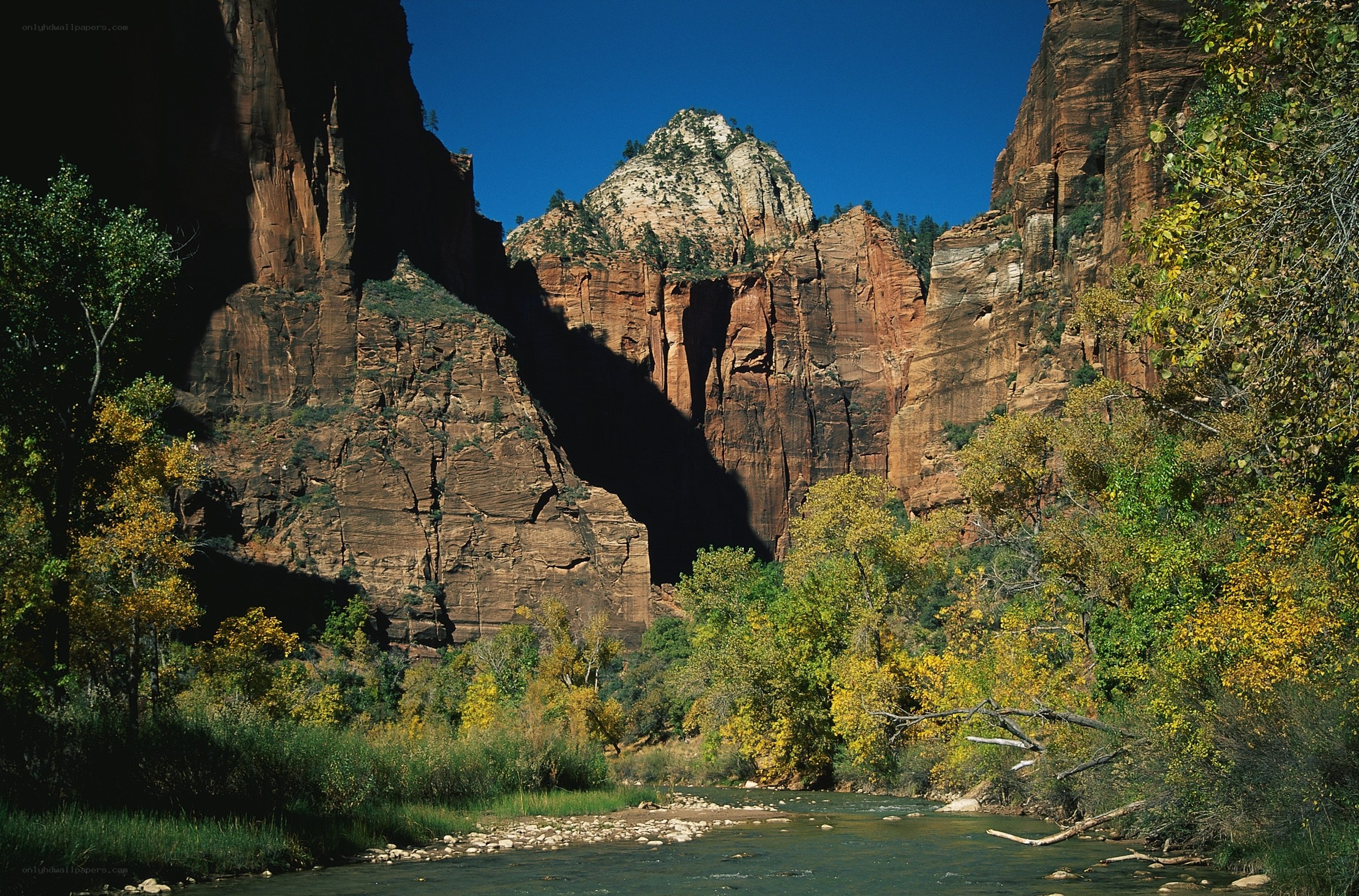 Zion Canyon river landscape