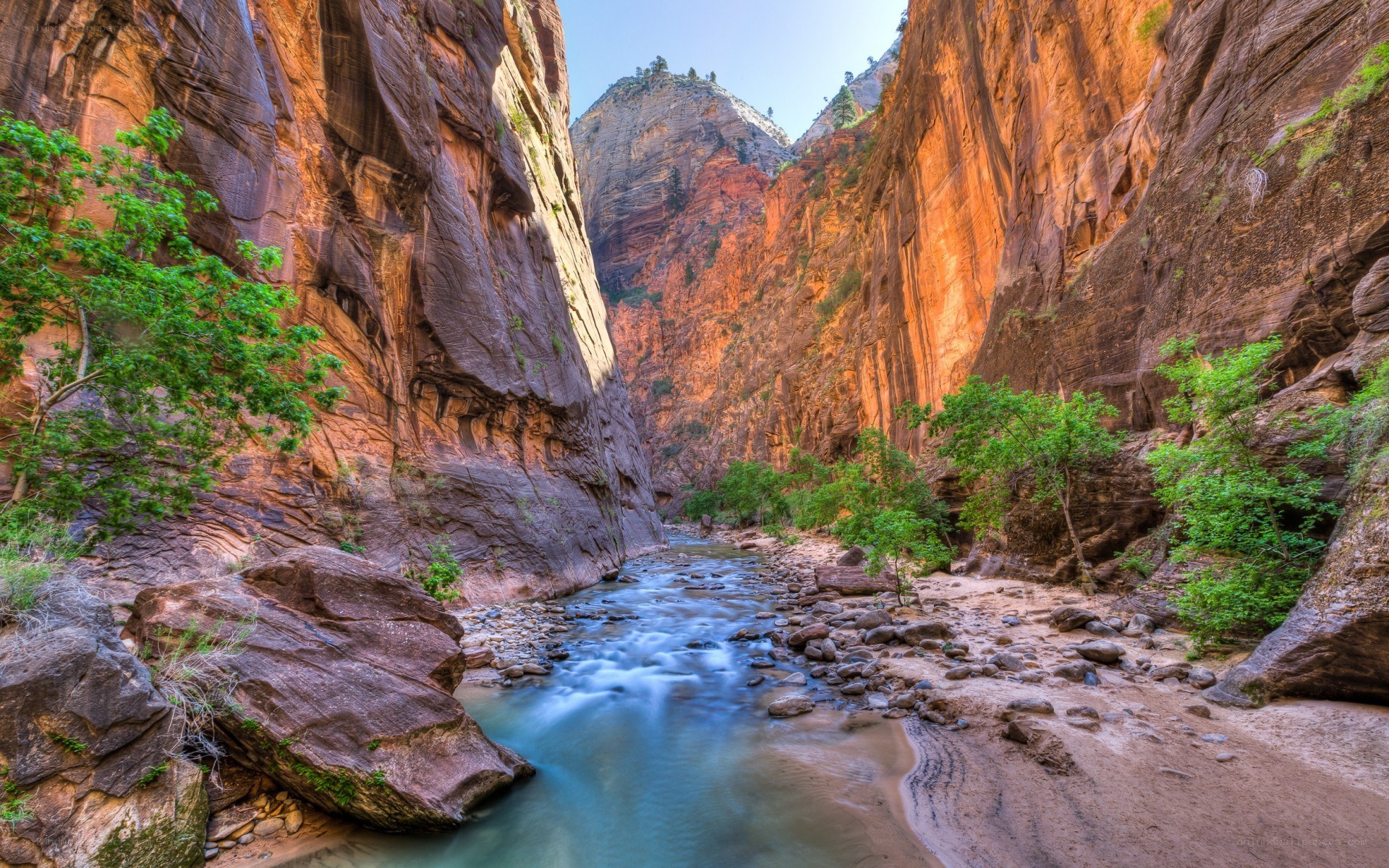Zion Canyon stream landscape