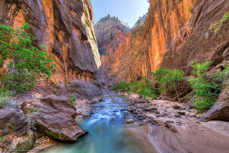 Zion Canyon stream