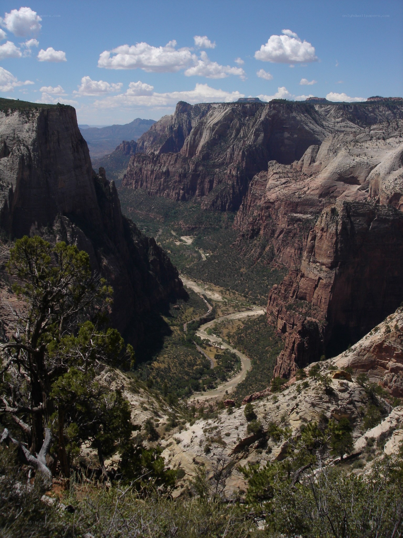 Zion Canyon vista