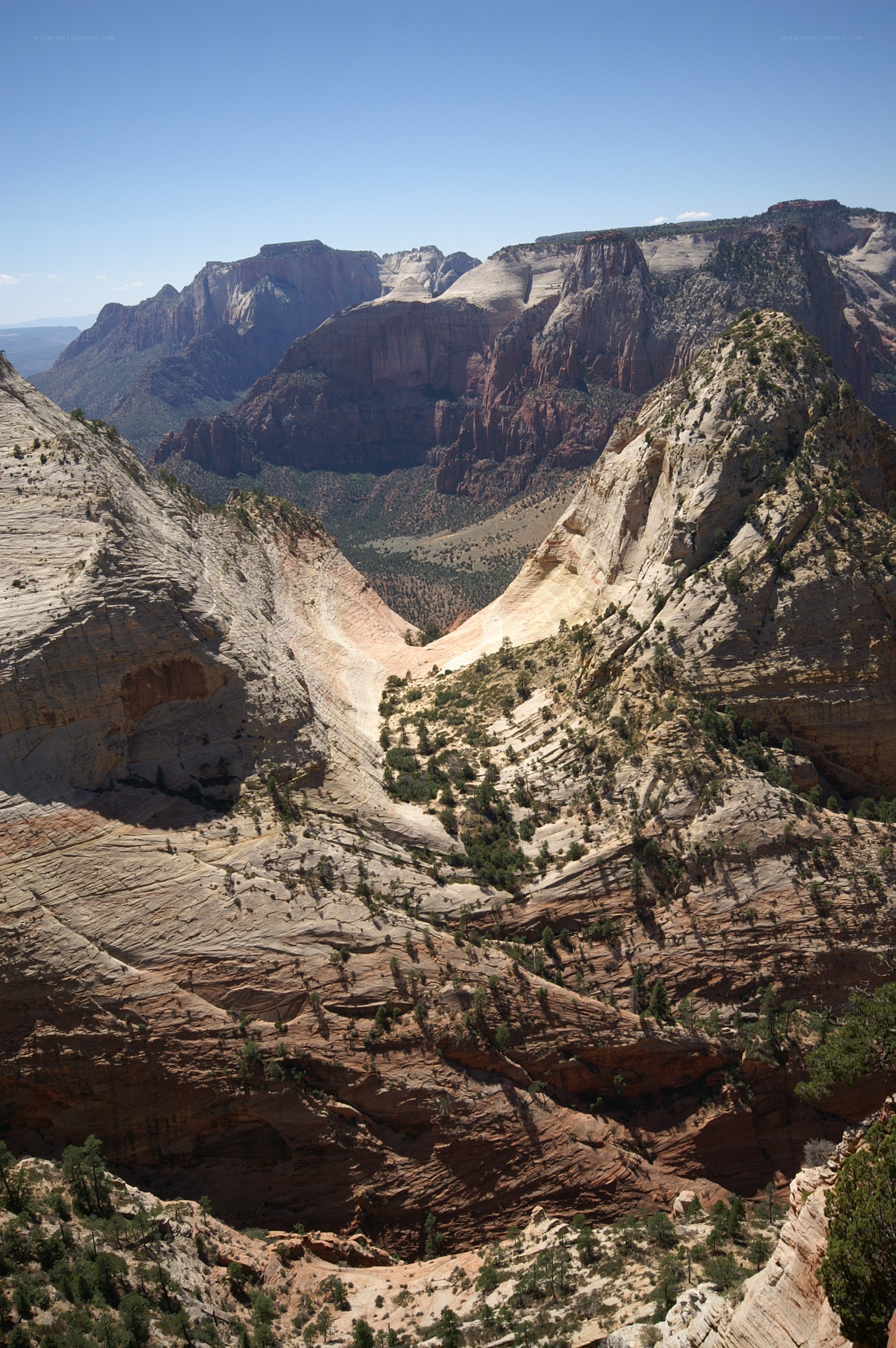 Zion Canyon vista