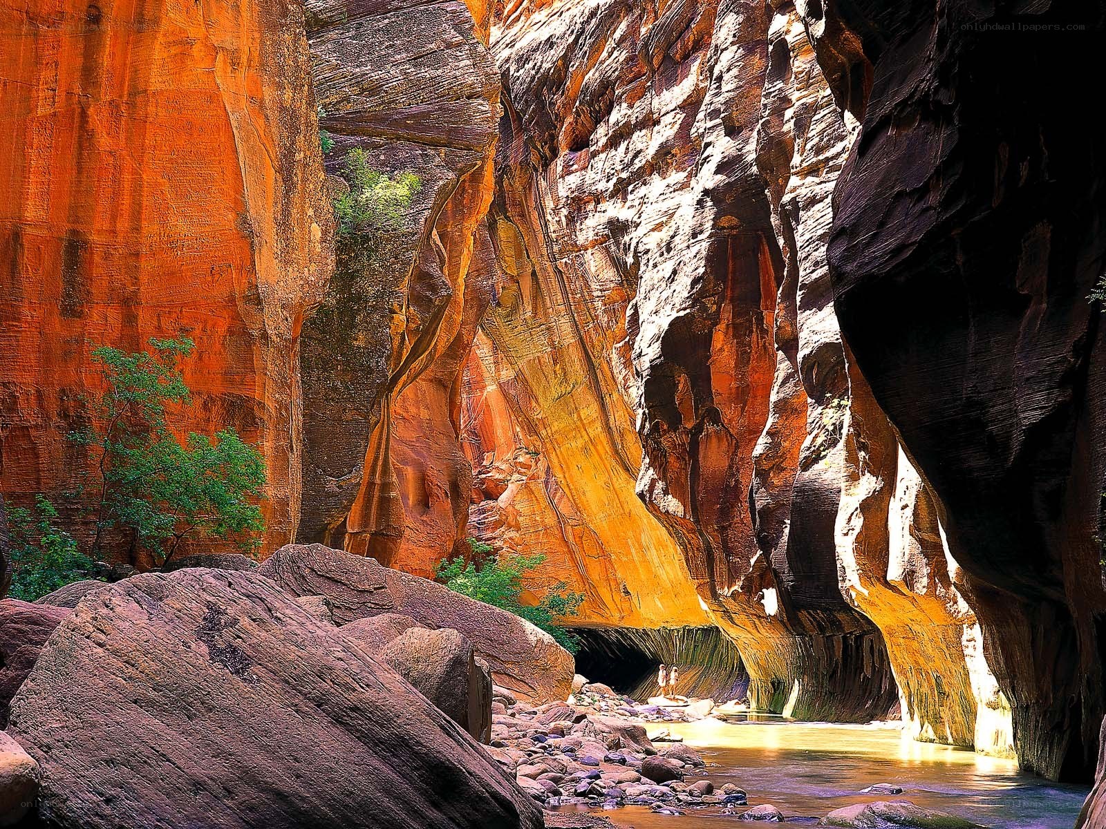 Zion Narrows canyon