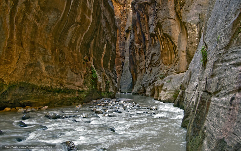 Zion Narrows river canyon