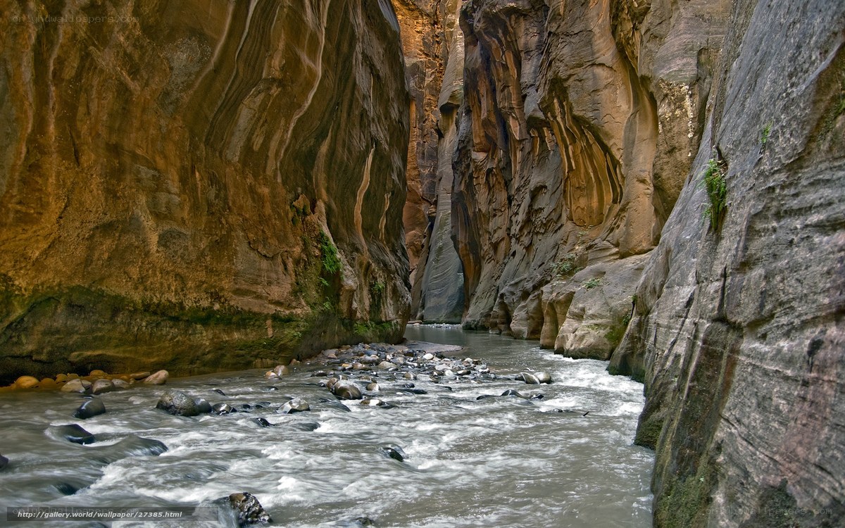 Zion Narrows river canyon