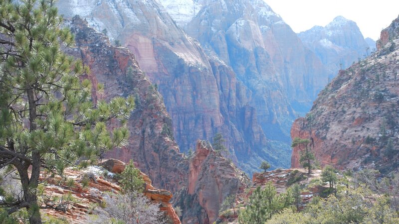 Zion National Park Canyon — Red