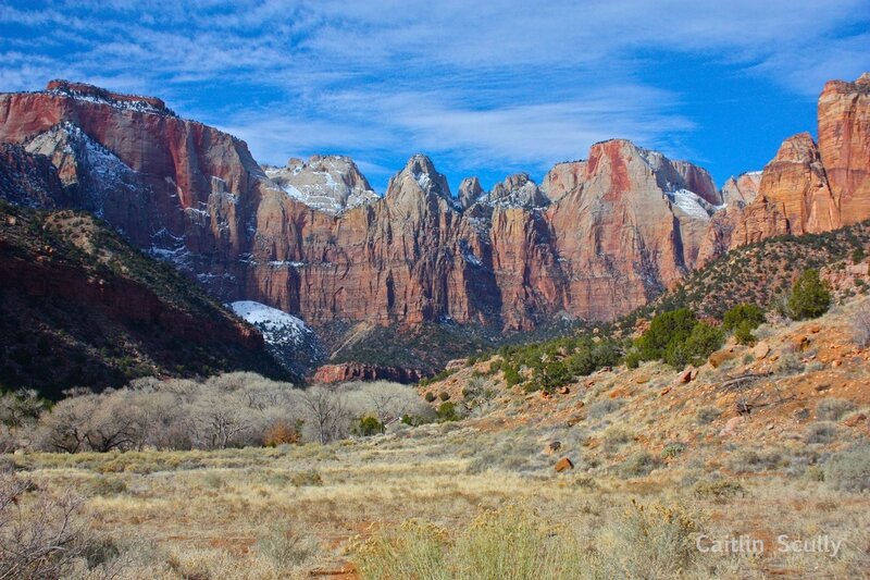 Zion National Park Cliffs — Blue, Dramatic