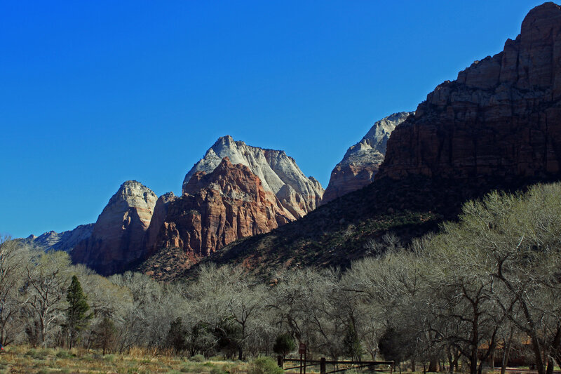 Zion National Park Cliffs — Blue, Serene