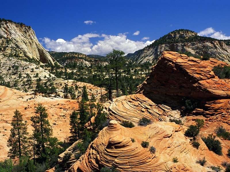 Zion National Park landscape