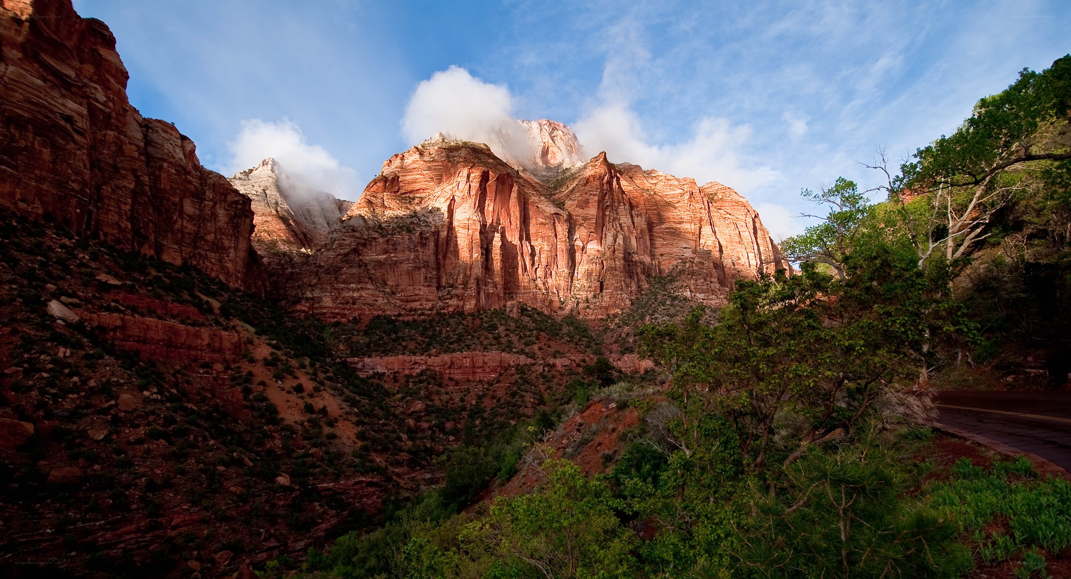 Zion National Park landscape