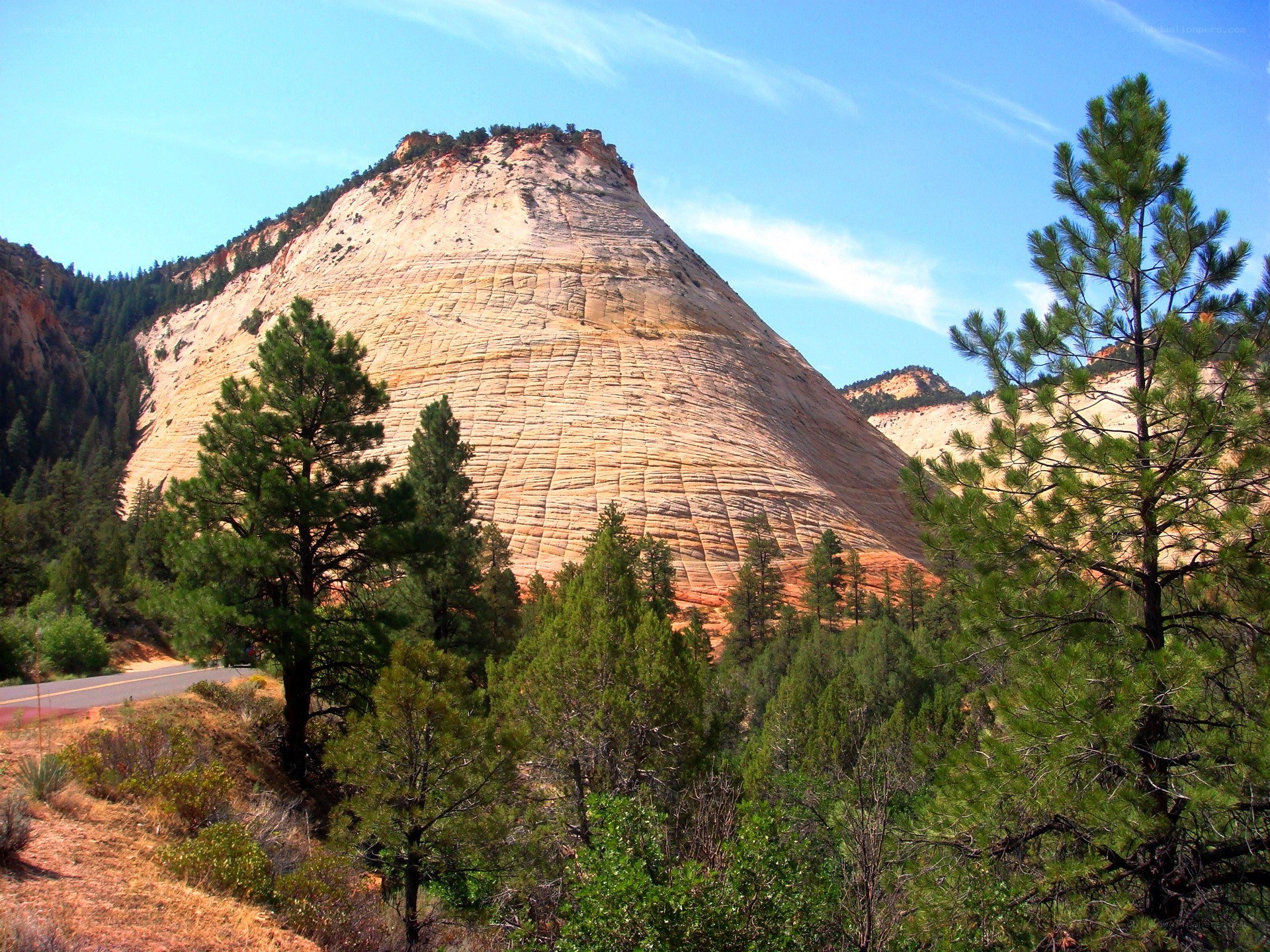 Zion National Park landscape