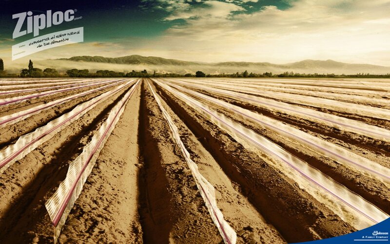 Ziploc field advertisement