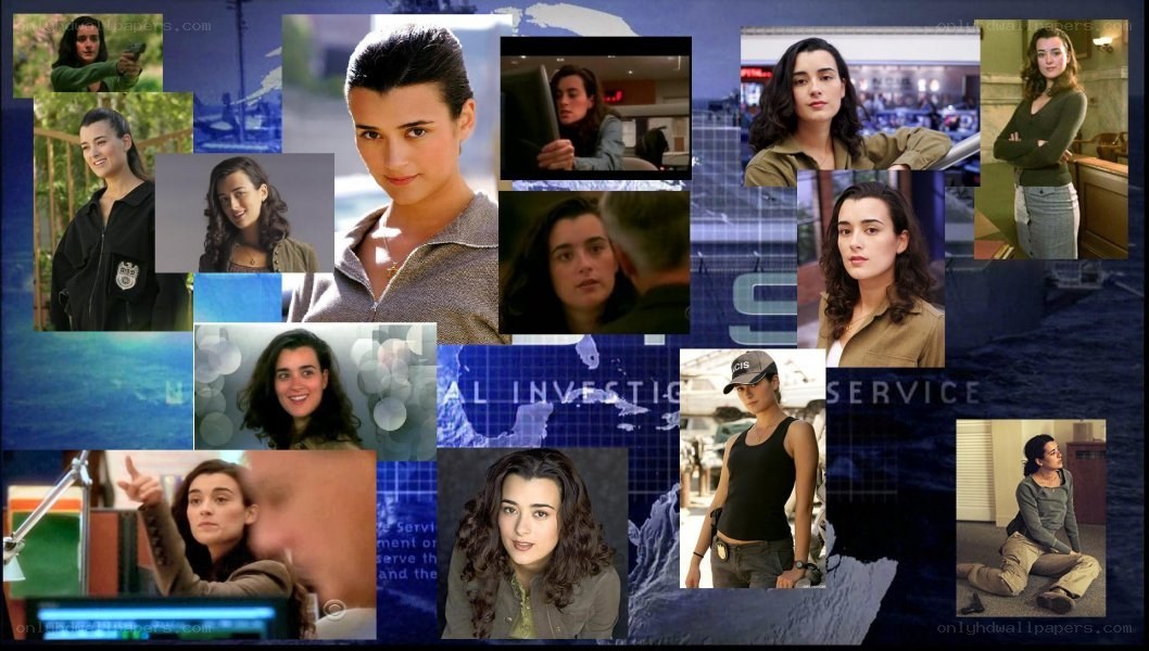 Ziva David collage from NCIS