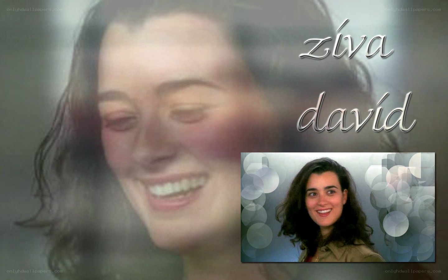 Ziva David portrait collage