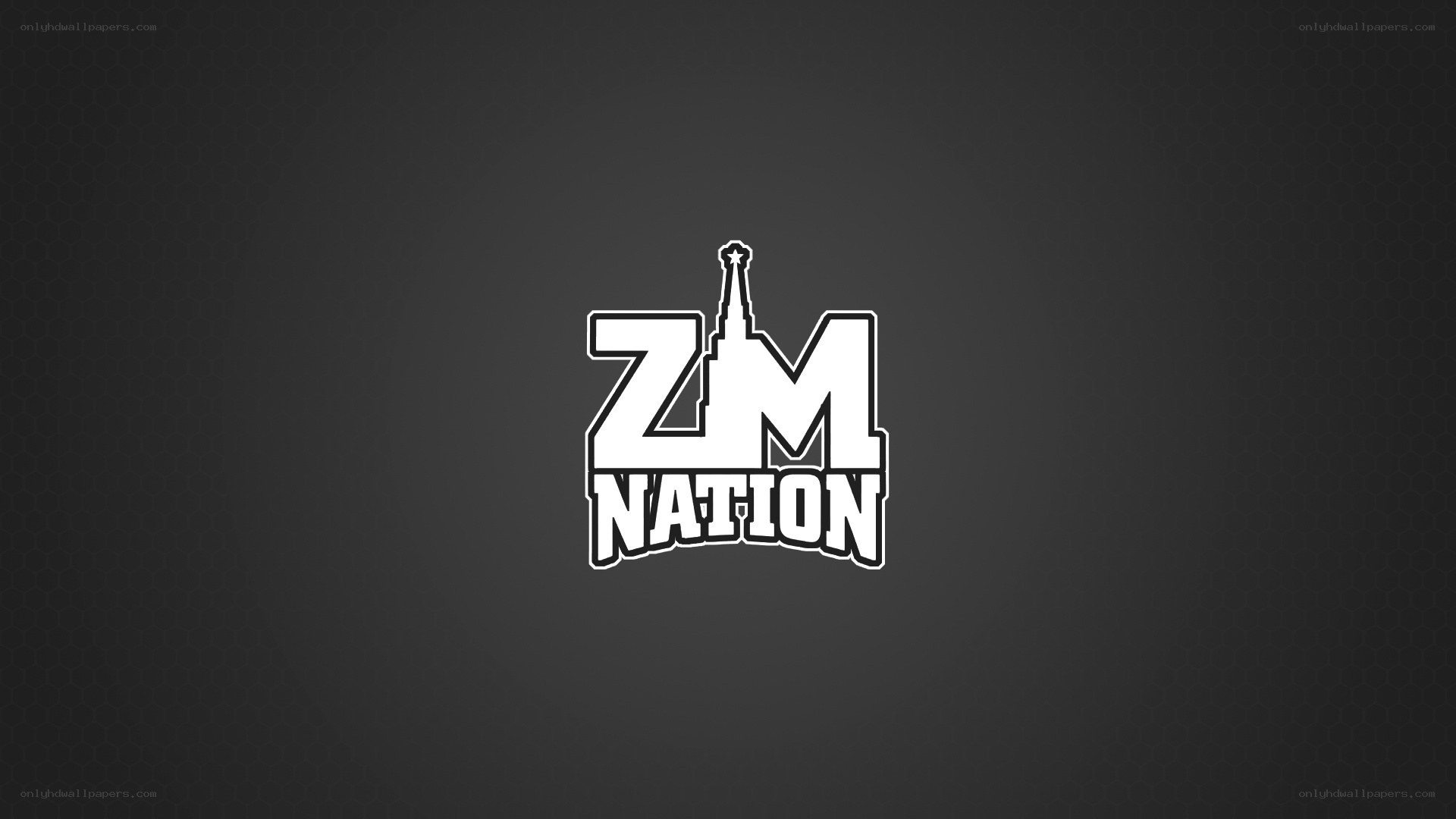 ZM Nation logo