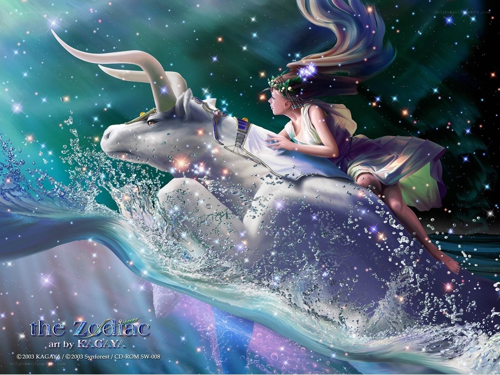 Zodiac Taurus artwork