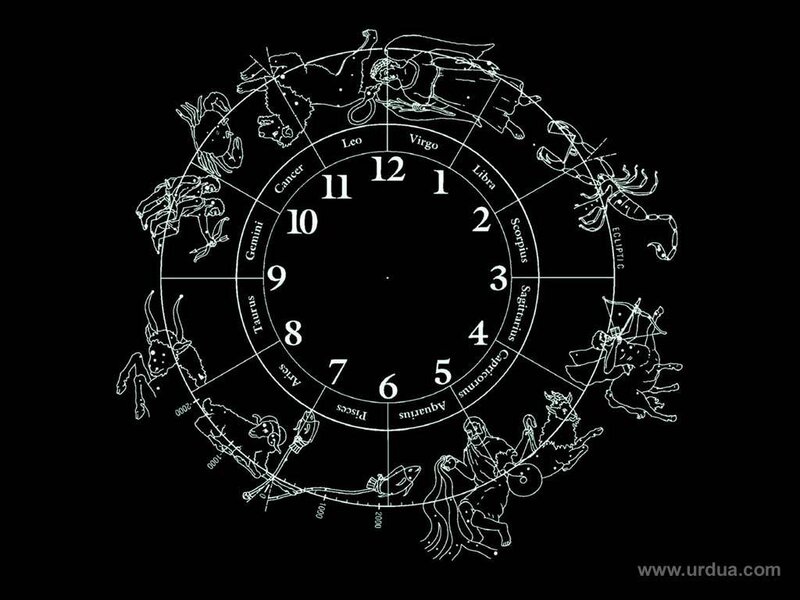 Zodiac Wheel Illustration — Black