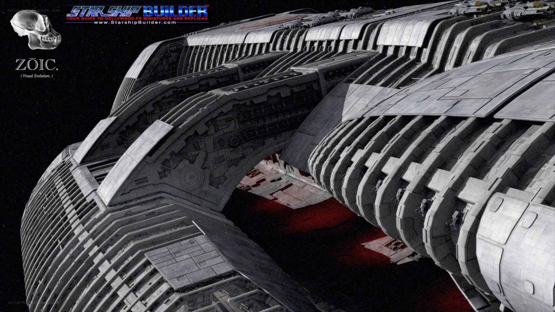 Zoic Starship Design