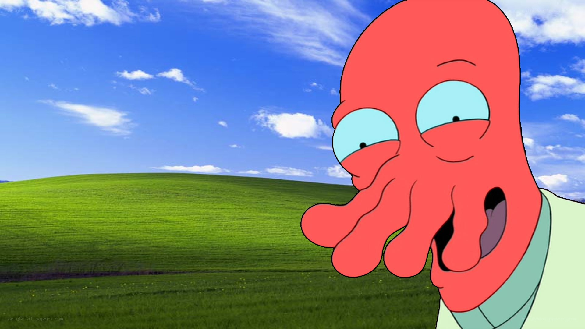 Zoidberg in a field