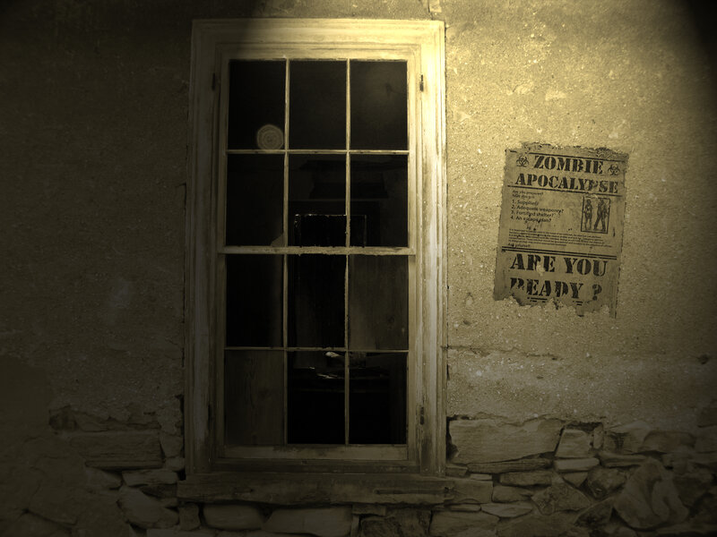Zombie apocalypse poster by window