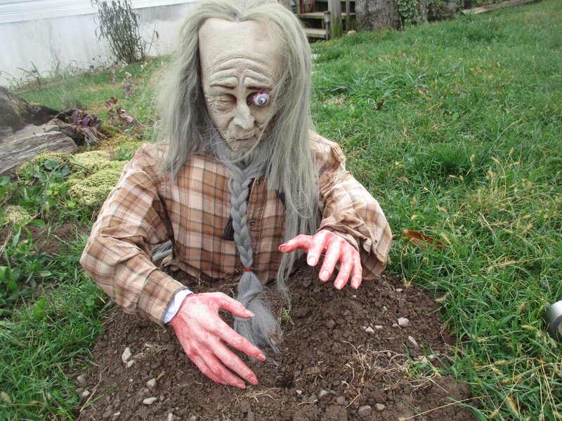 Zombie Figure in Garden