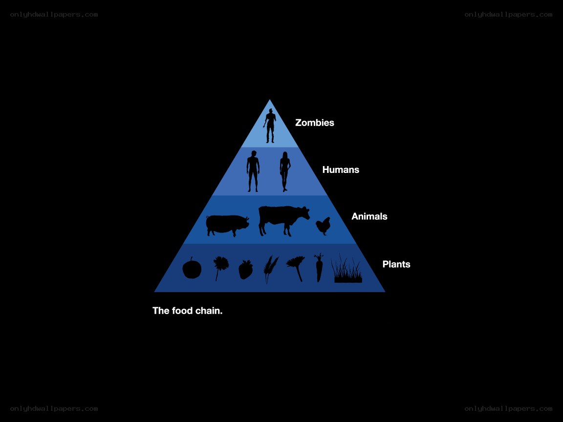 zombie food chain pyramid